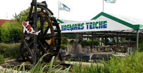 Kois aus Kevelaer Koizucht Hagmans Teiche GmbH
